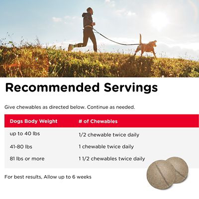 Image showing 5 th Nutri-Vet Extra Strength Chewable Hip and Joint Supplement Tablets for Dogs, 0.4 lb., 75 ct.