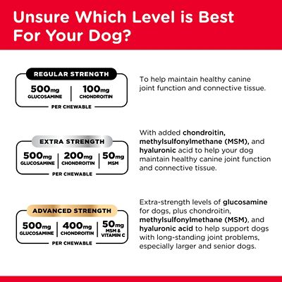 Image showing 6 th Nutri-Vet Extra Strength Chewable Hip and Joint Supplement Tablets for Dogs, 0.4 lb., 75 ct.