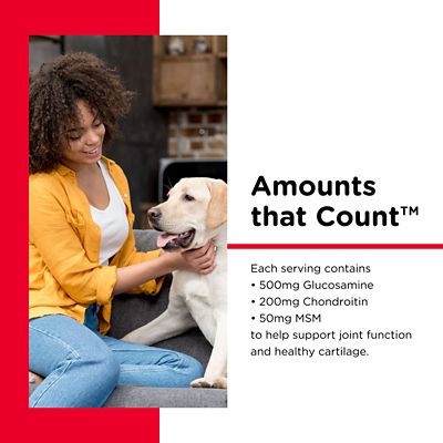 Image showing 7 th Nutri-Vet Extra Strength Chewable Hip and Joint Supplement Tablets for Dogs, 0.4 lb., 75 ct.