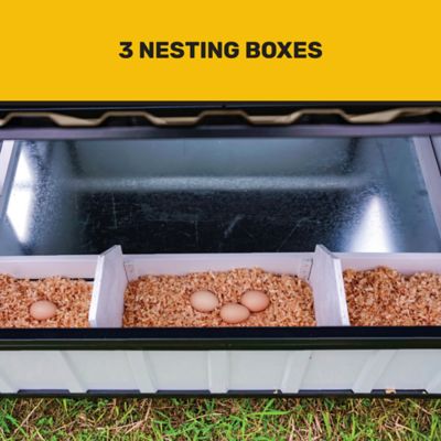 Image showing  Hill Country Chicken Coop, 6 Chicken Capacity