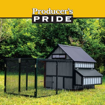 Image showing  Hill Country Chicken Coop, 6 Chicken Capacity