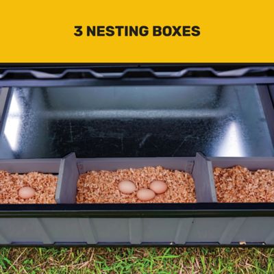 Image showing  Hill Country Chicken Coop, 6 Chicken Capacity