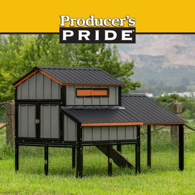 Image showing  Bungalow Coop, 6 Chicken Capacity