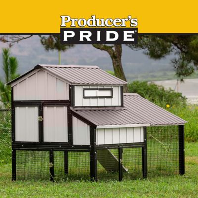 Image showing  Bungalow Coop, 6 Chicken Capacity