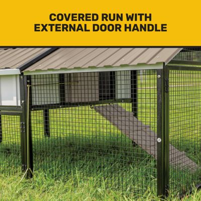 Image showing  Bungalow Coop, 6 Chicken Capacity