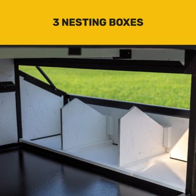 Image showing  Bungalow Coop, 6 Chicken Capacity