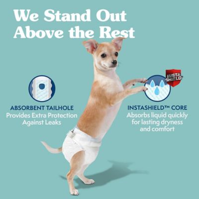 Image showing  Extra Small Disposable Dog Diapers, 12 ct.