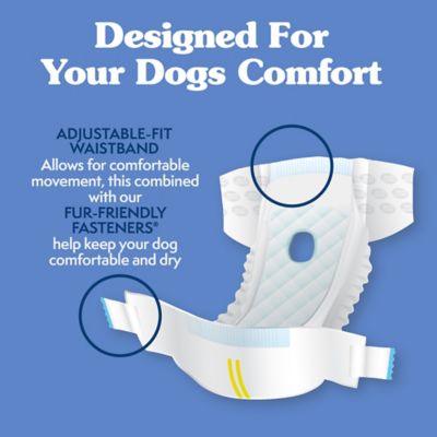 Image showing  Extra Small Disposable Dog Diapers, 12 ct.