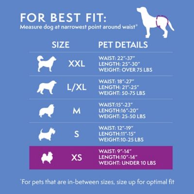 Image showing 6 th Simple Solution Extra Small Disposable Dog Diapers, 12 ct.