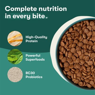 Image showing  All Life Stages Grain-Free Chicken, Sweet Potato and Carrot Recipe Dry Dog Food