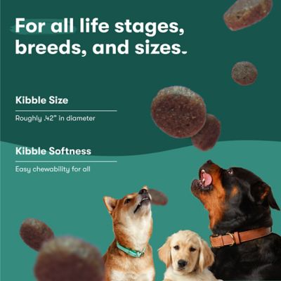 Image showing 6 th Jinx All Life Stages Grain-Free Chicken, Sweet Potato and Carrot Recipe Dry Dog Food