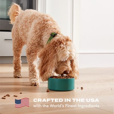 Image showing 7 th Jinx All Life Stages Grain-Free Chicken, Sweet Potato and Carrot Recipe Dry Dog Food