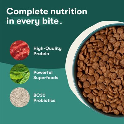 Image showing  All Life Stages Beef, Brown Rice and Sweet Potato Recipe Dry Dog Food