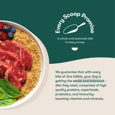 Image showing  All Life Stages Beef, Brown Rice and Sweet Potato Recipe Dry Dog Food