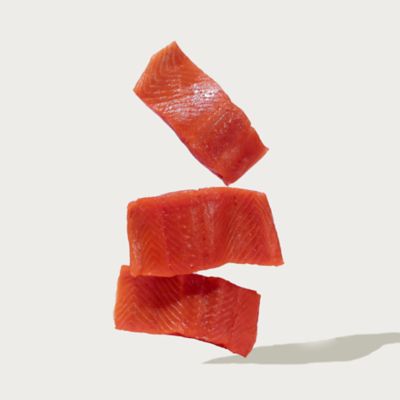 Image showing  All Life Stages Atlantic Salmon Recipe with Brown Rice and Sweet Potato Dry Dog Food