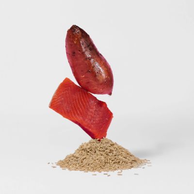 Image showing  All Life Stages Atlantic Salmon Recipe with Brown Rice and Sweet Potato Dry Dog Food