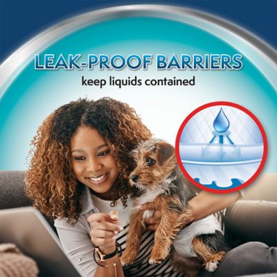 Image showing  Small Disposable Dog Diapers, 12 ct.