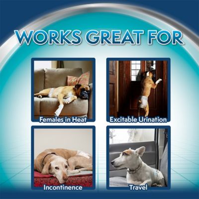 Image showing 7 th Simple Solution Small Disposable Dog Diapers, 12 ct.