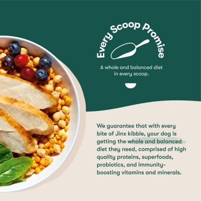 Image showing  All Life Stages Grain-Free Chicken, Sweet Potato and Carrot Recipe Dry Dog Food