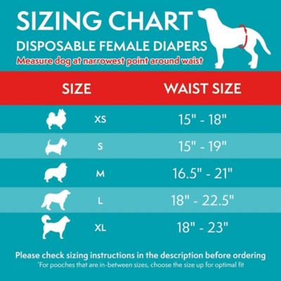 Image showing 6 th Simple Solution Medium Disposable Diapers, 12 pk.