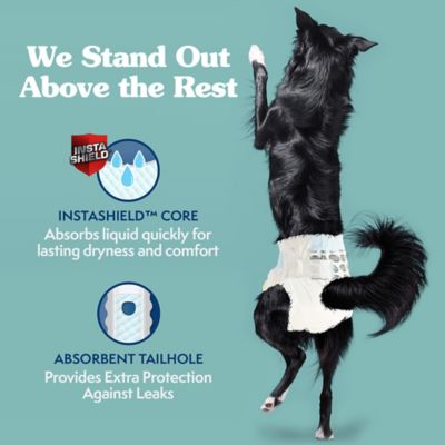 Image showing  Large Disposable Dog Diapers, 12 ct.