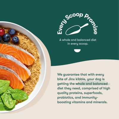 Image showing  All Life Stages Salmon, Brown Rice and Sweet Potato Recipe Dry Dog Food