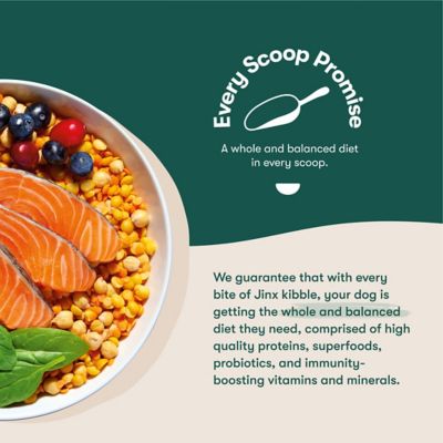 Image showing  All Life Stages Grain-Free Salmon, Sweet Potato and Carrot Recipe Dry Dog Food