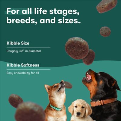 Image showing 6 th Jinx All Life Stages Grain-Free Salmon, Sweet Potato and Carrot Recipe Dry Dog Food