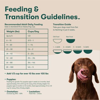 Image showing 9 th Jinx All Life Stages Grain-Free Salmon, Sweet Potato and Carrot Recipe Dry Dog Food