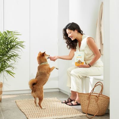 Image showing  All Natural Slow-Smoked Chicken Flavor Jerky Bites for Dogs, 5 oz Bag