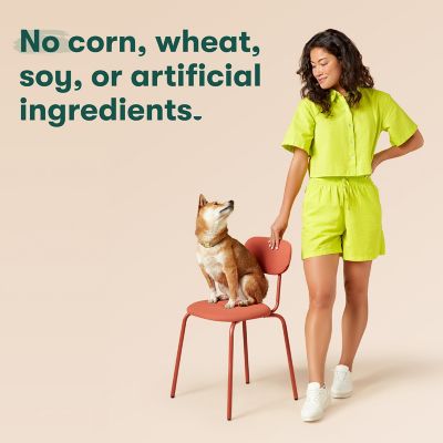 Image showing  All Natural Slow-Smoked Chicken Flavor Jerky Bites for Dogs, 5 oz Bag