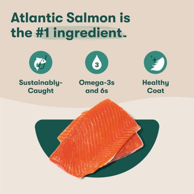 Image showing  All Life Stages Grain-Free Salmon, Sweet Potato and Carrot Recipe Dry Dog Food