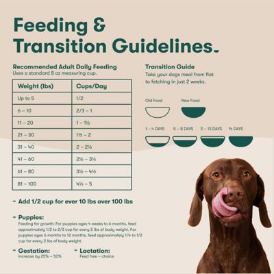 Image showing 9 th Jinx All Life Stages Grain-Free Salmon, Sweet Potato and Carrot Recipe Dry Dog Food