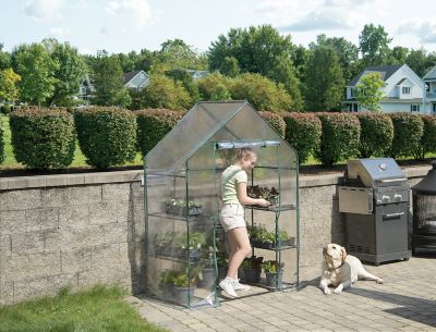 Image showing  Clear Mini Greenhouse