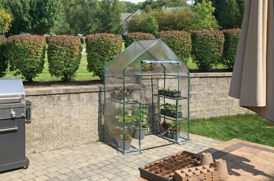 Image showing 5 th Miracle-Gro Clear Mini Greenhouse