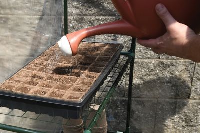 Image showing 7 th Miracle-Gro Clear Mini Greenhouse