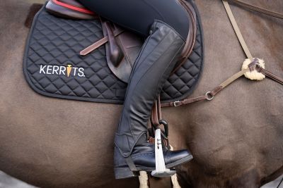 Image showing  Griptek Riding Half Chap 2.0 Regular