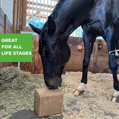 Image showing  Smart Edge Horse Block