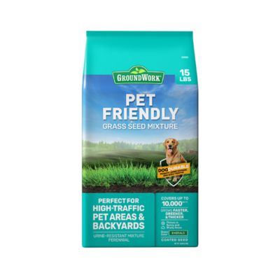 GroundWork 15 lb. 10,000 sq. ft. Pet Friendly Grass Seed Mixture