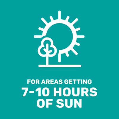 Image showing  15 lb. 10,000 sq. ft. Pet Friendly Grass Seed Mixture