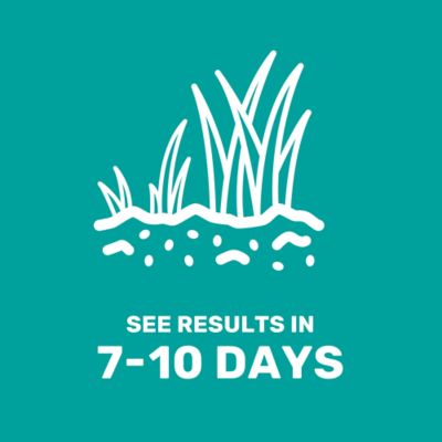 Image showing 5 th GroundWork 15 lb. 10,000 sq. ft. Pet Friendly Grass Seed Mixture