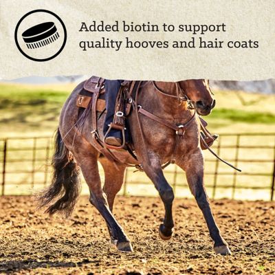 Image showing 5 th Nutrena Triumph 14-6 Pelleted Horse Feed, 50 lb.