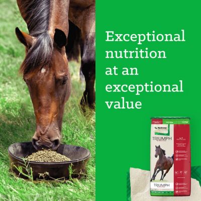 Image showing 7 th Nutrena Triumph 14-6 Pelleted Horse Feed, 50 lb.