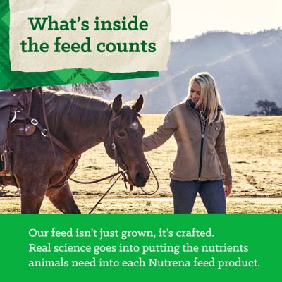 Image showing 8 th Nutrena Triumph 14-6 Pelleted Horse Feed, 50 lb.