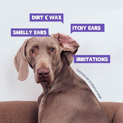 Image showing  Pet Ear Rinse