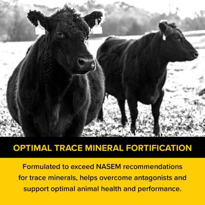 Image showing  Framework 365 Mineral Vitamin ADE Cattle Supplement, 50 lb.