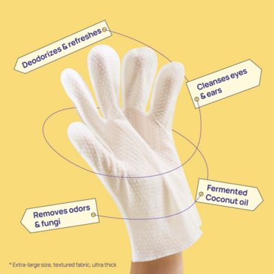 Image showing  20 ct. Coconut Pet Glove Wipe