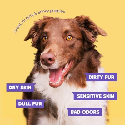 Image showing  20 ct. Coconut Pet Glove Wipe