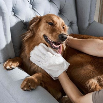 Image showing  20 ct. Coconut Pet Glove Wipe