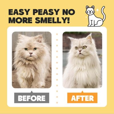 Image showing  20 ct. Coconut Pet Glove Wipe